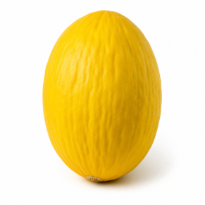 Melon jaune