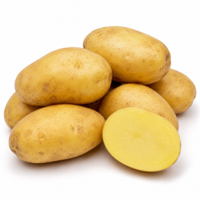 Pomme de terre agata