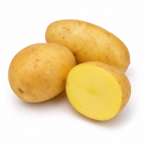 Pomme de terre celtiane