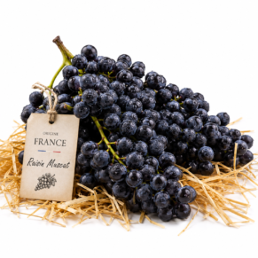 Raisin muscat