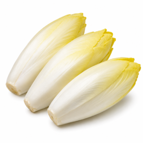 Endive