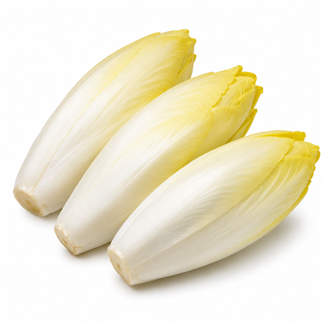 Endive