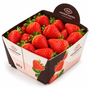 Fraise belge patisserie bq 500gr