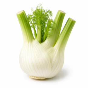Fenouil