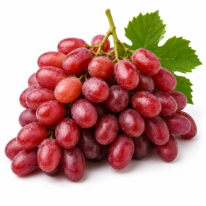Raisin red globe