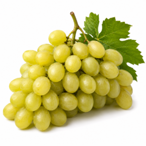Raisin blanc italia