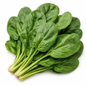 Épinard