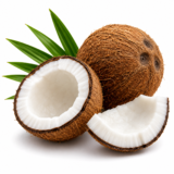 Noix de coco - 1 colis de 10