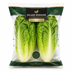 Salade romaine