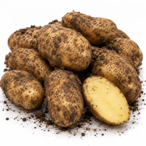 Pomme de terre non lavé Agria