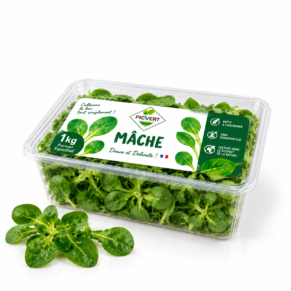 Mâche 1kg