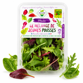 Jeunes pousses barquettes 125gr