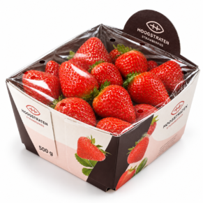 Fraise belge bq filmé 500gr