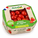 Tomate cerise pigeon saveol - 1 colis de 12 barquettes
